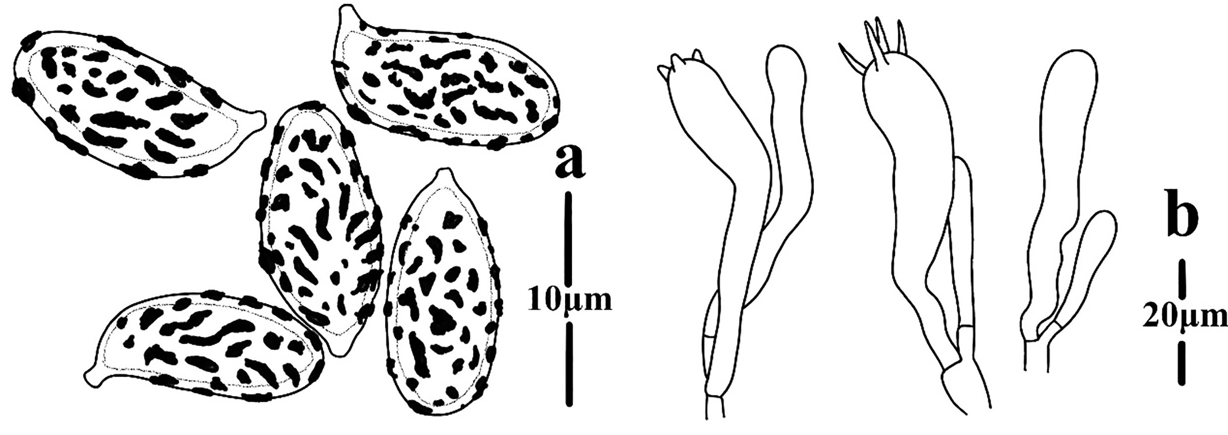 Figure 126